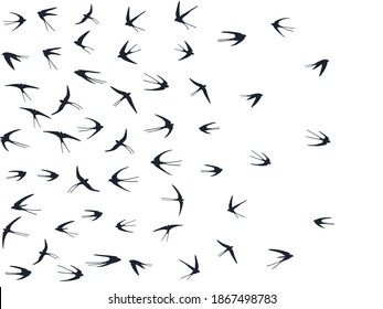 Siluetas de aves tragaperras voladoras ilustran vectores. Martlets nómadas doblados aislados en blanco. Vela voladora traga arte de línea. Pájaros pequeños en diseño gráfico del cielo. Fondo de fauna.