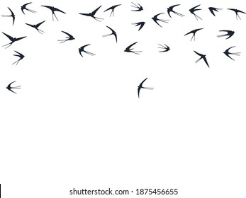 Flying swallow birds silhouettes vector illustration. Migratory martlets bevy isolated on white. Soaring flying swallows line art. Realistic birds in sky graphic design. Wildlife concept.