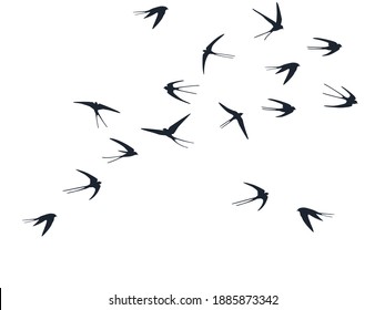 Flying swallow birds silhouettes vector illustration. Migratory martlets flock isolated on white. Alar flying swallows line art. Realistic birds in sky graphic design. Fauna background.