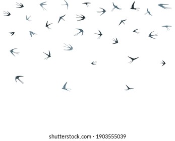 Flying swallow birds silhouettes vector illustration. Migratory martlets group isolated on white. Alar flying swallows line art. Rain birds in sky graphic design. Wildlife concept.