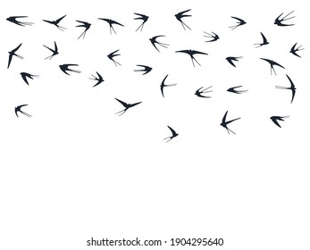 Flying swallow birds silhouettes vector illustration. Nomadic martlets bevy isolated on white. Soaring flying swallows line art. Little birds in sky graphic design. Wildlife concept.