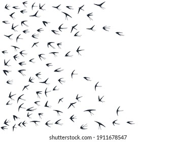 Flying swallow birds silhouettes vector illustration. Migratory martlets swarm isolated on white. Feathred flying swallows line art. Little birds in sky graphic design. Wildlife concept.