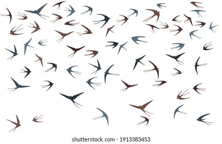 Fliegende Schwalbenvögel Silhouetten Vektorgrafik. Wandernde Martlets Herde einzeln auf Weiß. Flügelfliegende Schluchten. Viele Vögel im Himmelsgrafik-Design. Fauna-Hintergrund.