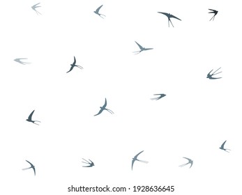 Martlet の画像 写真素材 ベクター画像 Shutterstock