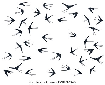 Flying swallow birds silhouettes vector illustration. Nomadic martlets flock isolated on white. Feathred flying swallows line art. Simple birds in sky graphic design. Fauna background.