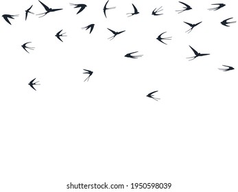 Flying swallow birds silhouettes vector illustration. Nomadic martlets swarm isolated on white. Feathred flying swallows line art. Little birds in sky graphic design. Fauna background.