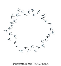 Flying swallow birds silhouettes vector illustration. Migratory martlets school isolated on white. Gliding flying swallows line art. Abstract birds in sky graphic design. Wildlife concept.
