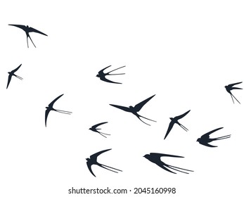 Flying swallow birds silhouettes vector illustration. Migratory martlets group isolated on white. Flapping flying swallows line art. Realistic birds in sky graphic design. Fauna background.