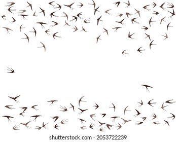 Flying swallow birds silhouettes vector illustration. Migratory martlets swarm isolated on white. Sailing flying swallows line art. Small birds in sky graphic design. Fauna background.