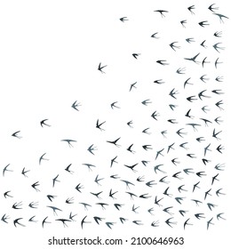 Flying swallow birds silhouettes vector illustration. Migratory martlets flock isolated on white. Wingy flying swallows line art. Little birds in sky graphic design. Wildlife concept.