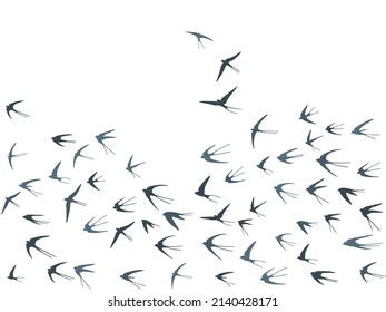 Fliegende Schwalbenvögel Silhouetten Vektorgrafik. Nomadische Martlets Herde einzeln auf Weiß. Schnelle fliegende Schluckschluckskunst. Abstrakte Vögel im Himmelsgrafik-Design. Konzept der Tierwelt.