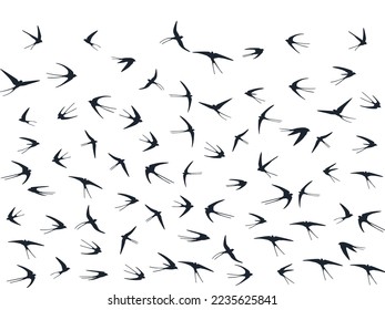 Flying swallow birds silhouettes vector illustration. Nomadic martlets bevy isolated on white. Alar flying swallows line art. Rain birds in sky graphic design. Wildlife concept.