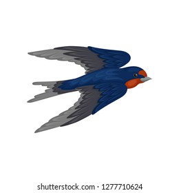 Flying swallow, graceful bird with red plumage around the beak and dark blue wings, top view vector Illustration on a white background