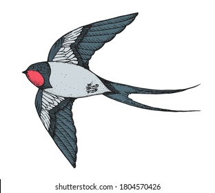 Flying swallow. Hand drawn vector. T-shirt design. Cartoon style.