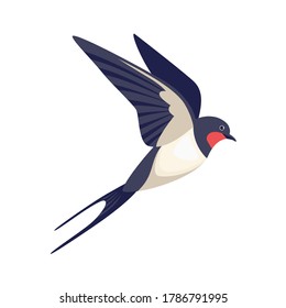 Flying swallow isolated on white. Vector cartoon flat bird.