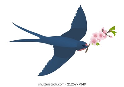 Flying swallow with a sakura branch. Vector cartoon Illustration.