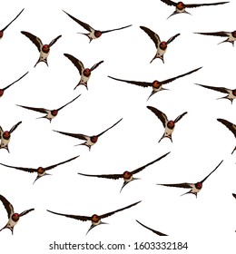 Flying swallow. Vector image. White background. Seamless pattern. 