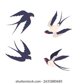 Flying swallows. Bird in flight isolated on a white background. Vector illustration in a flat style.