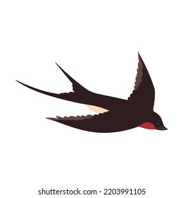 Flying swallows flat illustration. Cartoon birds flock in fight with different poses isolated vector illustration. Wildlife and fauna concept