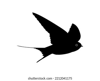 Flying of the Swallows, Martins, and Saw wings, or Hirundinidae Bird Silhouette for Logo, Pictogram, Website, Art Illustration or Graphic Design Element. Vector Illustration