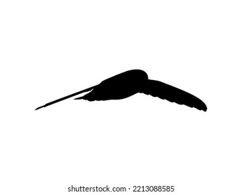 Flying of the Swallows, Martins, and Saw wings, or Hirundinidae Bird Silhouette for Logo, Pictogram, Website, Art Illustration or Graphic Design Element. Vector Illustration