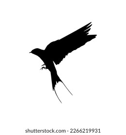 Flying of the Swallows, Martins, and Saw wings, or Hirundinidae Bird Silhouette for Logo, Pictogram, Website, Art Illustration or Graphic Design Element. Vector Illustration
