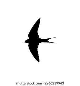 Flying of the Swallows, Martins, and Saw wings, or Hirundinidae Bird Silhouette for Logo, Pictogram, Website, Art Illustration or Graphic Design Element. Vector Illustration