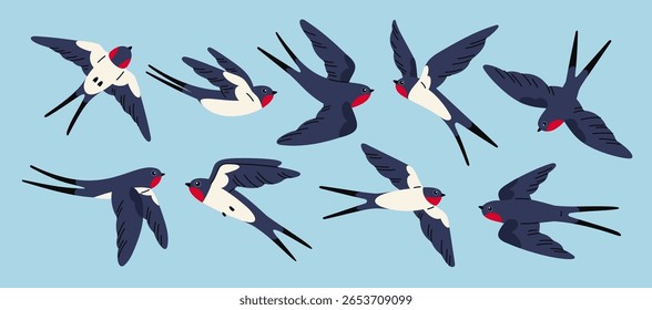 Flying swallows. Various positions, gliding cartoon birds, black with white breasts, harbingers of spring, tattoo symbol, wild animals with feather, songbird garish vector isolated set