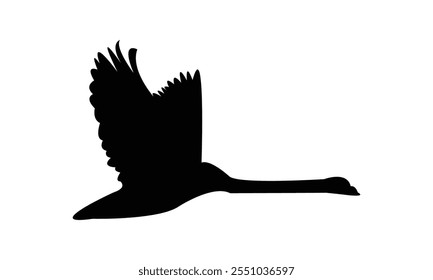 Flying Swan Silhouette Design  And Vector Illustration. 