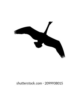 Flying Swan Silhouette on White Background Isolated Animal Vector Template for Symbol, Logo, Icon, EPS 10, etc