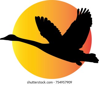 Flying swan and sun