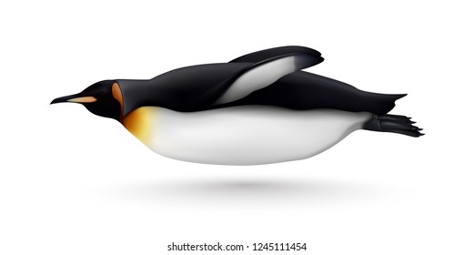 Flying or swimming beautiful king penguin closeup side view realistic isolated image against white background vector illustration