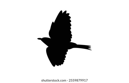 Flying Thrush Bird Silhouette Design  And Vector Illustration. 