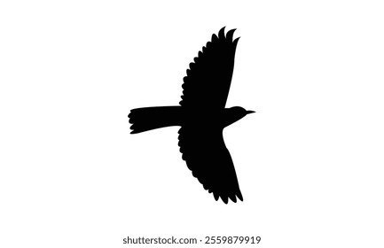 Flying Thrush Bird Silhouette Design  And Vector Illustration. 