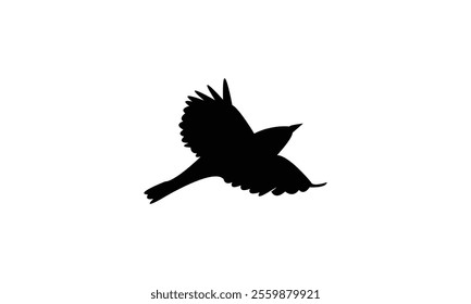 Flying Thrush Bird Silhouette Design  And Vector Illustration. 