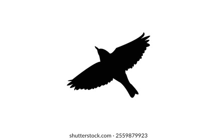 Flying Thrush Bird Silhouette Design  And Vector Illustration. 