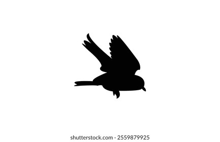 Flying Thrush Bird Silhouette Design  And Vector Illustration. 