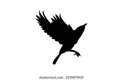 Flying Thrush Bird Silhouette Design  And Vector Illustration. 