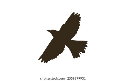 Flying Thrush Bird Silhouette Design  And Vector Illustration. 