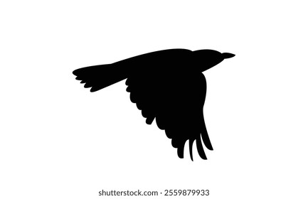 Flying Thrush Bird Silhouette Design  And Vector Illustration. 