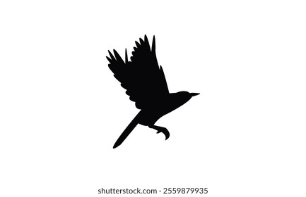 Flying Thrush Bird Silhouette Design  And Vector Illustration. 