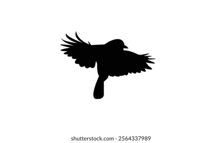 Flying Tit  Bird Silhouette Design  And Vector Illustration. 