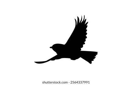 Flying Tit  Bird Silhouette Design  And Vector Illustration. 