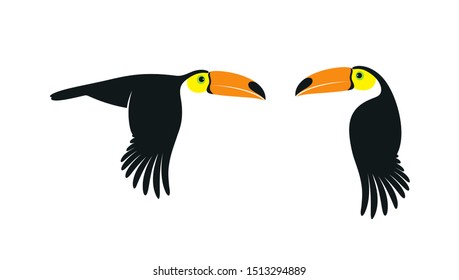 Flying toucan. Isolated toucan on white background