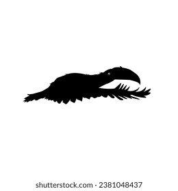 Flying Toucans. Toucans are Neotropical members of the near passerine bird family Ramphastidae. The Ramphastidae are most closely related to the American barbets, Bird Silhouette. Vector Illustration