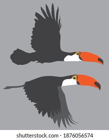 Flying Toucans vector wild life