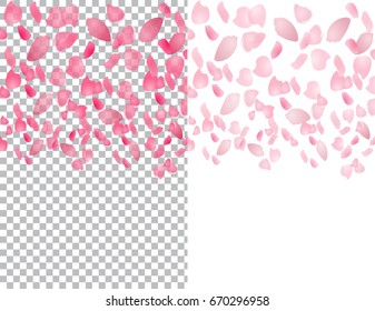 Flying translucent petals of sakura flowers. On a checkered and white background. Vector illustration