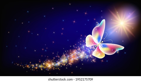Flying transparent delightful butterfly with sparkle and blazing trail flying in night sky among shiny glowing stars in cosmic space. Animal protection day concept.