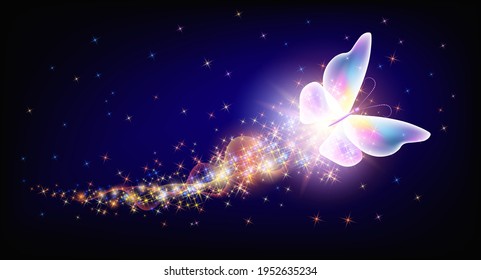 Flying transparent delightful butterfly with sparkle and blazing trail flying in night sky among shiny glowing stars in cosmic space. Animal protection day concept.