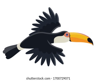 Flying tropical bird. Toucan in cartoon style isolated on white background.